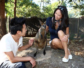 VIP Aussie Gold - Holiday Great Ocean Road 0