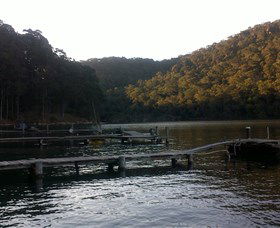 Church Point Ferry Service - Holiday Great Ocean Road 5