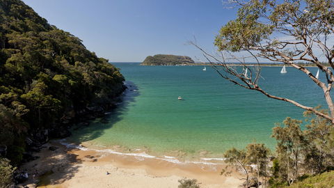 Ku-ring-gai Chase National Park - Holiday Great Ocean Road 2