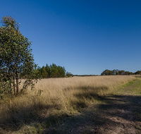 Scheyville horse riding trails - Holiday Great Ocean Road