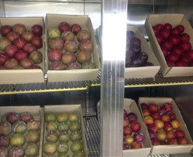 Canoelands Orchard - Holiday Great Ocean Road 1