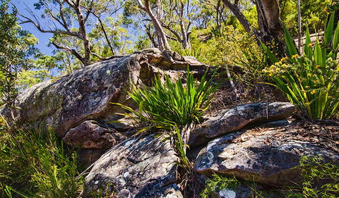 Canoelands Ridge Walking Track - Holiday Great Ocean Road 1