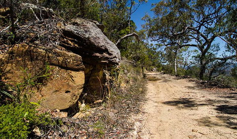 Canoelands Ridge Walking Track - Holiday Great Ocean Road 0