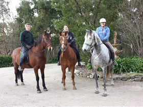 Academy Of Dressage - Holiday Great Ocean Road 0