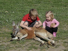 Hahndorf Farm Barn - Holiday Great Ocean Road 3