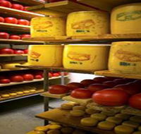Alexandrina Cheese Company - Holiday Great Ocean Road