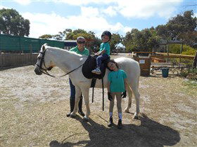 Animal Farm Goolwa - Holiday Great Ocean Road 2