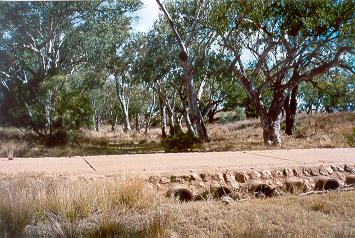 Charleville - Ward River Fishing Spot - Holiday Great Ocean Road 1