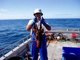 Lacepede Seafood - Holiday Great Ocean Road 2