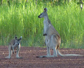Djukbinj National Park - Holiday Great Ocean Road 1