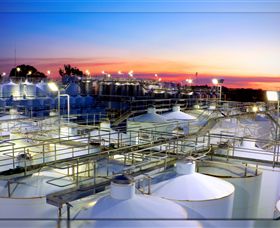 Andrew Peace Wines - Holiday Great Ocean Road 3