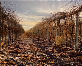 Andrew Peace Wines - Holiday Great Ocean Road 2