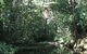 Wabunga Wayemba (Charmillan Creek Walking Track) - thumb 0