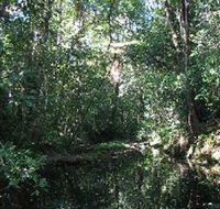 Wabunga Wayemba Charmillan Creek walking track - Holiday Great Ocean Road