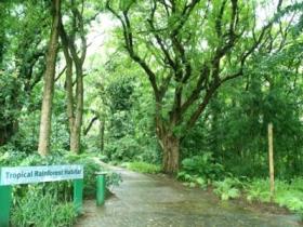 Townsville Palmetum - Holiday Great Ocean Road 1
