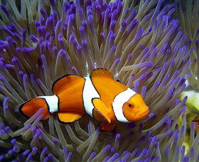 Townsville Mc ACT Holiday Great Ocean Road
