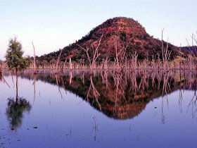 Nuga Nuga National Park And Lake Nuga Nuga - Holiday Great Ocean Road 3