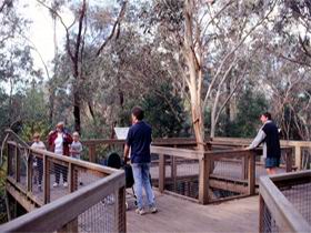 Valley Lake Conservation Park - Holiday Great Ocean Road 1