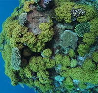Keeper Reef Dive Site - Holiday Great Ocean Road