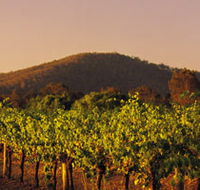 Taltarni Vineyards - Holiday Great Ocean Road