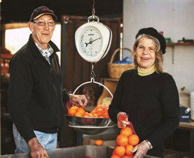 Backroads Trail - Holiday Great Ocean Road 3