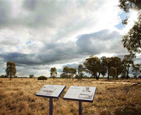 Backroads Trail - Holiday Great Ocean Road 2