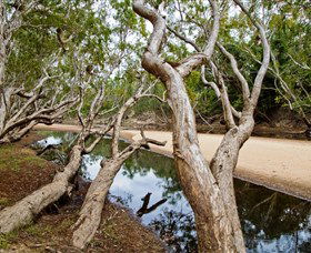 Oyala Thumotang National Park (CYPAL) - Holiday Great Ocean Road 0