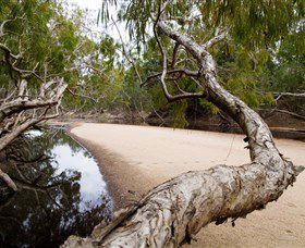 Oyala Thumotang National Park (CYPAL) - Holiday Great Ocean Road 3