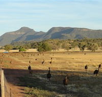Emu Logic - Holiday Great Ocean Road