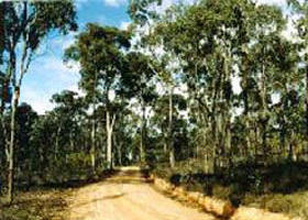Paddys Ranges State Park - Holiday Great Ocean Road 0
