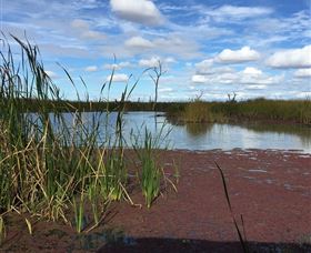 Gwydir Wetlands - Holiday Great Ocean Road 0