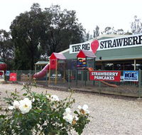 The Big Strawberry - Holiday Great Ocean Road