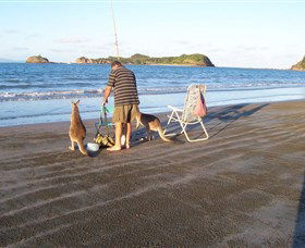 Cape Hillsborough National Park - Holiday Great Ocean Road 0