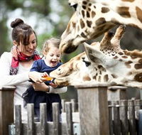 Taronga Western Plains Zoo Dubbo - Holiday Great Ocean Road