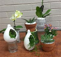Cobram Florist - Holiday Great Ocean Road