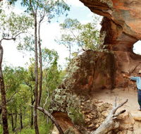 Pilliga National Park - Holiday Great Ocean Road