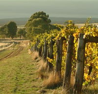 Captains Creek Organic Wines - Holiday Great Ocean Road