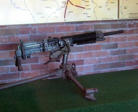 Woodpecker Gun - Holiday Great Ocean Road 0