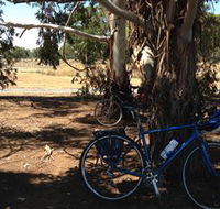 Murchison Rail Trail - Holiday Great Ocean Road
