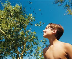 Bushwalking On Keswick Island - Holiday Great Ocean Road 0