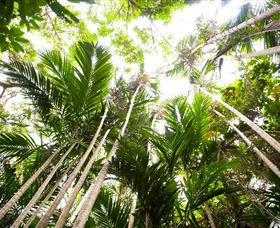 Bushwalking On Keswick Island - Holiday Great Ocean Road 1
