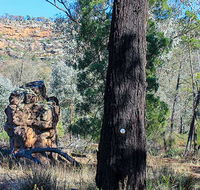 Eualdrie walking track - Holiday Great Ocean Road