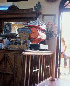 Cactus Cafe And Gallery - Holiday Great Ocean Road 1