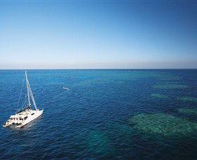 Bait Reef And Garys Lagoon Dive Site - Holiday Great Ocean Road 0