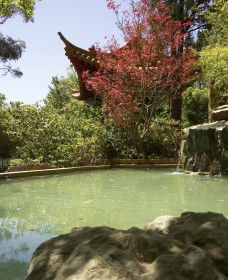 Botanic Gardens Wagga Wagga - Holiday Great Ocean Road 2