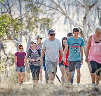 Winton Wetlands Reserve - Holiday Great Ocean Road