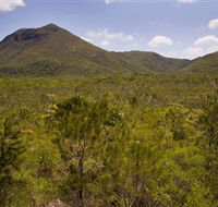 Kutini-Payamu Iron Range National Park CYPAL - Holiday Great Ocean Road