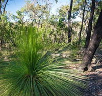 Brisbane Ranges National Park - Holiday Great Ocean Road
