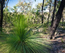 Brisbane Ranges National Park - Holiday Great Ocean Road 0