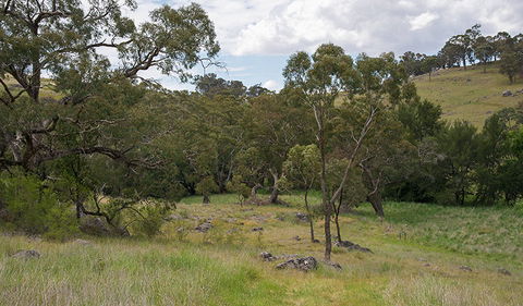 Verandah Cave - Holiday Great Ocean Road 1